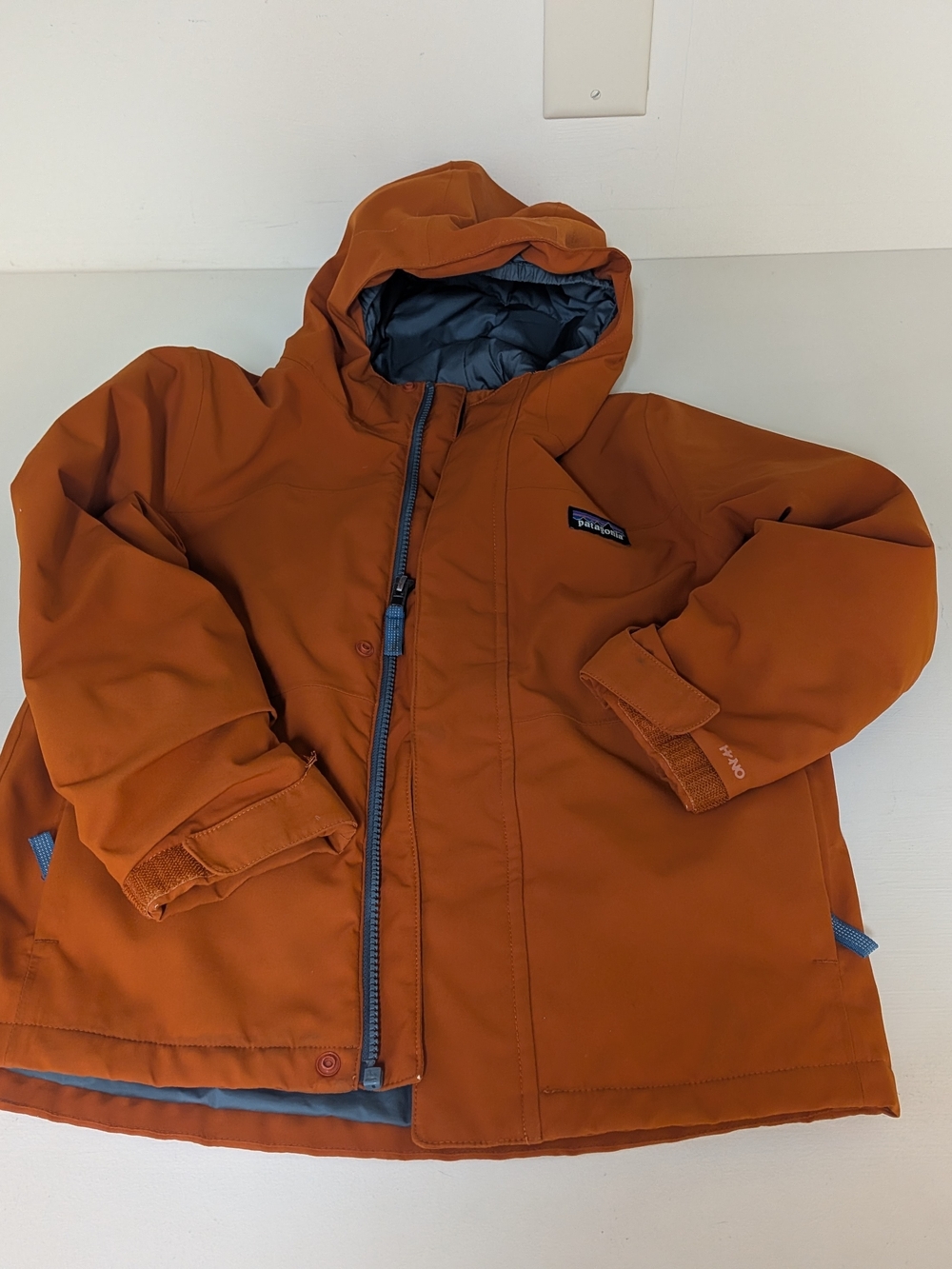Patagonia Kids Hooded Puffer Jacket in Rust